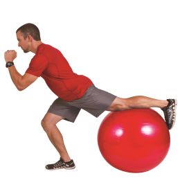 GOFIT STABILITY BALL - 55CM